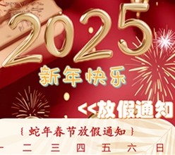 2025,鴻運當頭啟新篇!